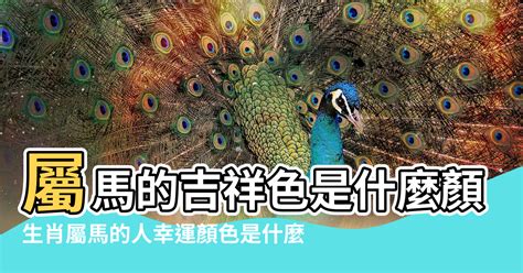 屬馬幸運顏色|【屬馬 顏色】屬馬的人注意了！2024年讓你運勢爆棚的幸運顏色。